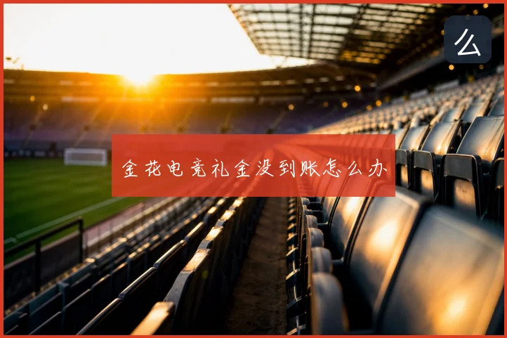 金花电竞礼金没到账怎么办